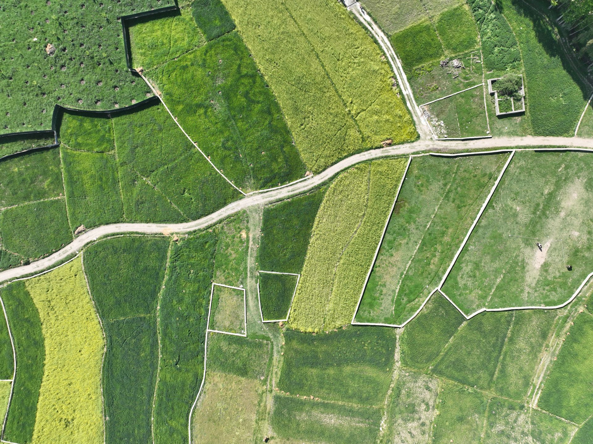 Journal intuitif : chemin inconnu, visualisation par une exercice intuitif