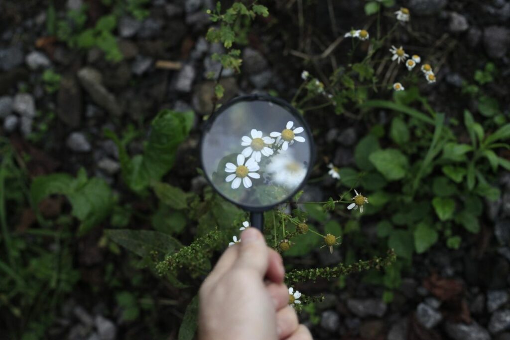 Ce qu'on ne vous dit pas : les 4 choses que le coaching fait vraiment